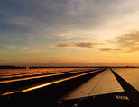 베트남 BCG-CME 롱안 1 태양광발전소는 50ha의 불모지에 4200만 달러를 투자해 1년여 만에 건설됐다. [사진 제공 · BCG]