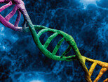 DNA를 통해 인간 수명이 언제쯤 끝날지 추론할 수 있다. [GettyImages]