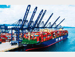 HMM은 선박 100여 척을 이용해 세계 시장에서 컨테이너와 벌크 화물을 해양 운송하는 종합 해운물류 기업이다. [사진 제공 · HMM]
