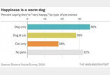 美견주, 집사보다 행복감 2배 더 많이 느껴..설문조사