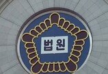 손님 반려견 던지고 폭행한 애견카페 점주 벌금형