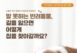 서울수의사회, 내장형 동물등록 캠페인.."1만원만 내고 등록하세요!"