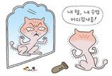 고양이에게는 너무 소중한 수염