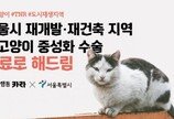 서울시, 카라와 손잡고 재개발 지역 길냥이 중성화 지원