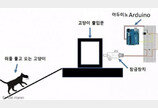 AI 고양이 출입문 만든 아마존 엔지니어..`쥐 물어오는 고양이 때문에`