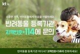 반려동물 등록기관 찾기 어렵다면?..번호안내 '114'로