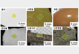 돌처럼 울퉁불퉁한 표면에 붙는 ‘전자소자’ 개발…“환경·생체모니터링”