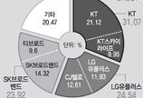 공정위, LG유플러스-CJ헬로 결합승인 유보