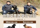 서울시119특수구조단 "인명구조견 모란과 맥이 은퇴합니다"