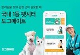 뚝심의 펫시터 서비스 도그메이트, 24억원 시리즈A 투자 유치