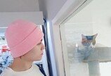 세븐틴 버논, 유리창 너머 고양이 향한 꿀 떨어지는 눈빛.."냐옹"