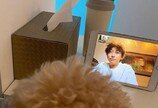 강기영, 출장 중 반려견 '푸푸'와 영상통화.."가족 모임"