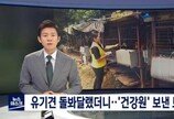 전라북도, 도내 동물보호소 긴급점검..'유기견 건강원 보낸 정읍보호소 사건에 깜짝'