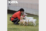 '한국판 티어하임' 카라 파주 더봄센터 정식 개관