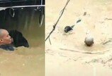 홍수에 갇힌 강아지 구하려 목숨 걸고 헤엄친 행인
