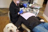 치과 치료받는 환자들 '포옹'으로 위로해주는 강아지.."겁먹지 말개!"