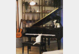 가수 집사 몰래 피아노 연주하는 고양이 포착.."집사 보고 배웠다옹~"