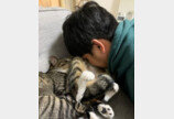 '고양이 중독'으로 일상생활 어렵다는 집사..누리꾼 공감 "못 고칠 병"