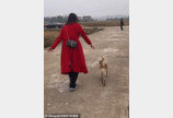 결혼하는 주인 웨딩카 10km나 따라 달리며 배웅해준 강아지.."행복해야 해!"