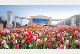 봄 에너지 가득! 에버랜드 튤립파워가든