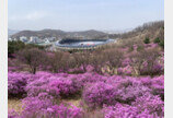 봄꽃 활짝 핀 경기지역 명소는…가평 23코스·부천 55코스