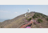 국내 최초 ‘휠체어 등산로’ 조성… 해발 1000m 비슬산 정상까지