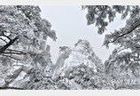 서울의 명산이 수묵화로 피어나는 순간…도봉산에서 만난 상고대[전승훈의 아트로드]