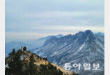기운생동하는 힘, 설악과 금강 사이에 솟아오른 장쾌한 파도[전승훈 기자의 아트로드]