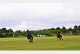 서양 귀족 스포츠 폴로 경기를 제주에서? 폴로와 만난 현대미술[전승훈의 아트로드]