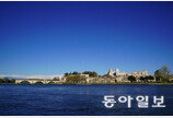 축제와 와인, 교황의 도시 아비뇽[전승훈 기자의 아트로드]