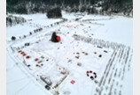 울릉도 나리분지에서 열리는 겨울 눈꽃 캠핑 축제