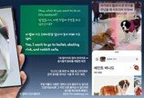 “주말에 뭐할까” 7세 딸에 영어로 묻자… “토끼카페 가자” 1초 통역