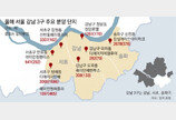 강남권 분양 ‘큰 장’… “가점 70점 이상 당첨”[부동산 빨간펜]