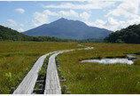 일본 오제 습지와 후지산 둘레길 힐링 트레킹 