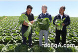 강호동 농협중앙회장, 강원도 배추·복숭아 재배농가 현장 방문