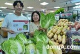 롯데마트, 정부비축 배추 판매… 시세보다 평균 50% 싸게 판매