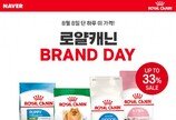 로얄캐닌, 세계 고양이의 날 맞아 특별 프로모션 진행