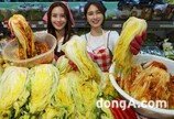 작년보다 1.5배 오른 배추 가격 잡는다… 롯데마트·슈퍼, 부담 낮춘 ‘절임 배추’ 사전예약
