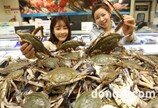롯데마트, 올해 첫 어획 ‘서해안 꽃게’ 판매… 물량 늘려 싸게 판다