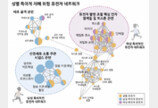 남성이 여성보다 ‘자폐 유병률’ 4배 높다