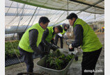 농협, 폭설 피해복구 일손돕기 실시