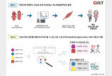 노화 늦추는 장내미생물 찾았다…“노인성 질환 개선 기대”