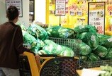 대형마트 3사, 작년에도 점포수 줄었다…올해는 외연확장 전환 태세