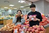 특수 기술로 저장한 사과-양파… 갓 수확한 듯 신선하네
