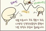 [만화 그리는 의사들]〈355〉상담의 뇌과학