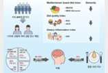 “지중해 식단, 치매 위험 최대 28% 낮춘다”…13만명 분석