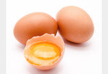 계란 하루 ○개가 최적…뼈는 튼튼, 부작용 걱정없어