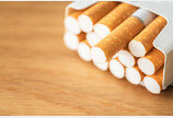 담배 하루 2개비도 사망 위험 60% 껑충…한 갑 피우면 2배 넘어