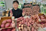 전북 김제 ‘호풍미 고구마’로 겨울 먹거리 공략