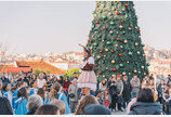 포르투 복합문화지구 WOW, 연말 프로그램 운영… 퍼레이드부터 마켓·전시까지